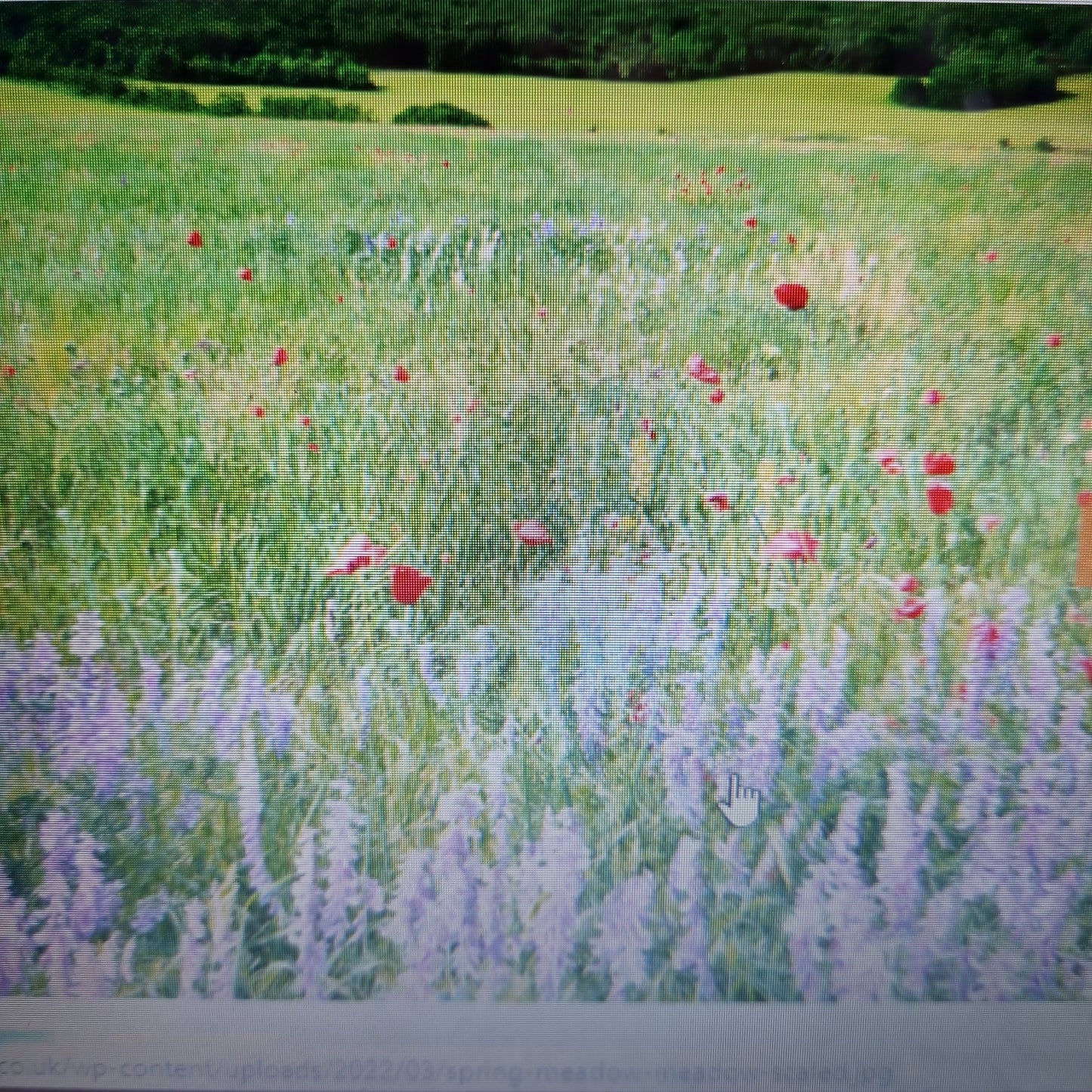 Fresh Meadow Reed Diffuser Refill 300ml