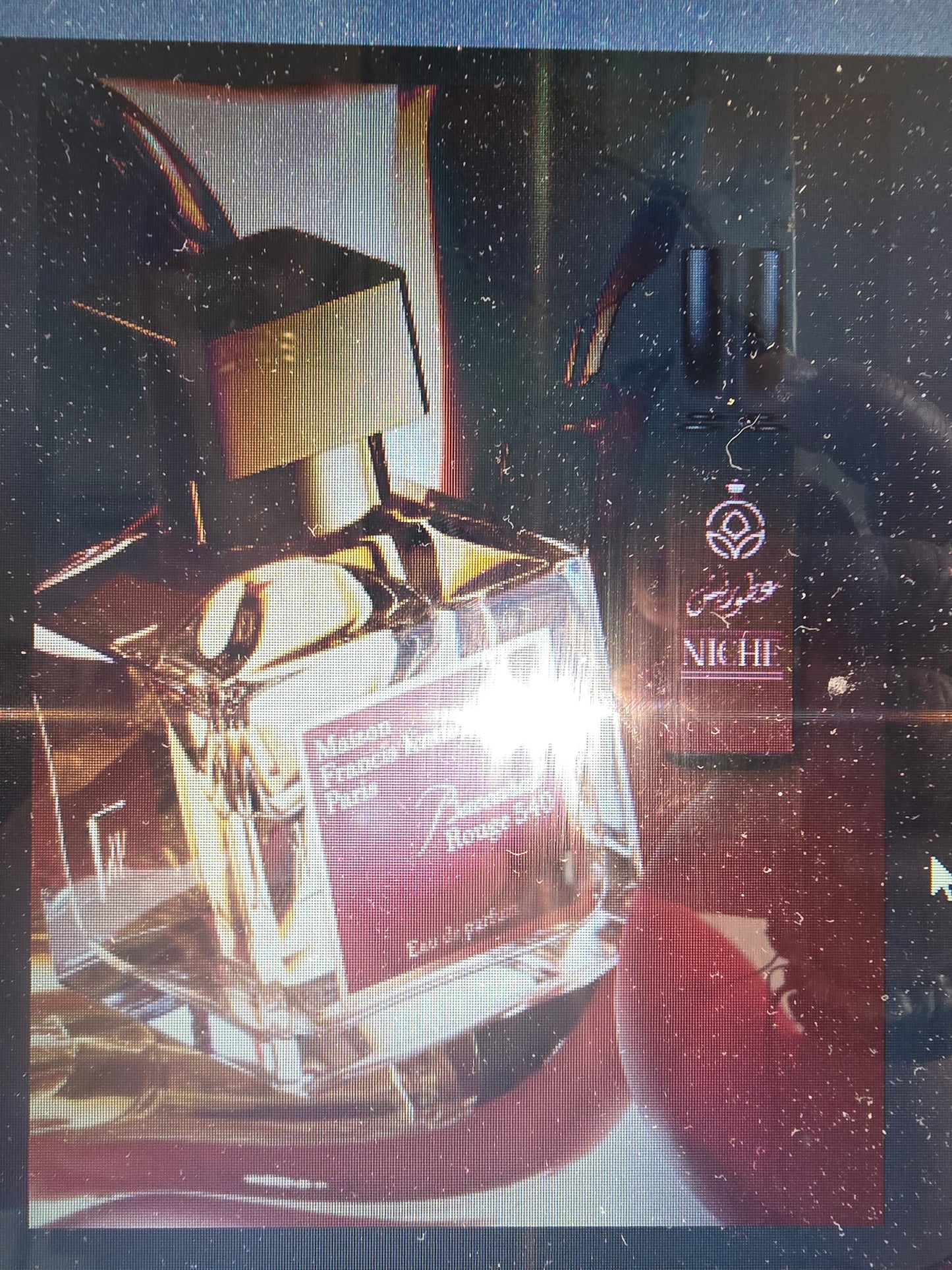 Baccarat Rouge Type Wax Melt.