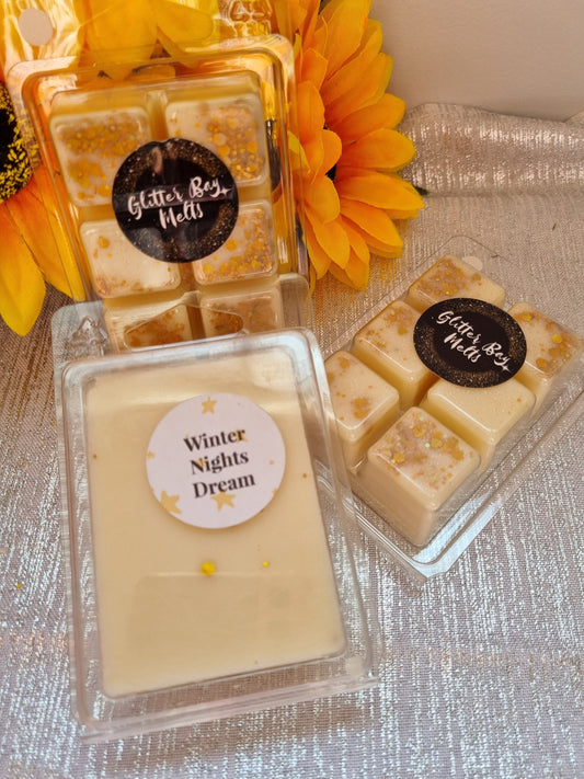Winter nights dream Wax Melt.