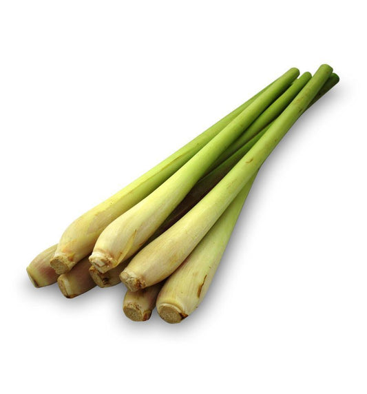 Wild Lemongrass Wax Shapes